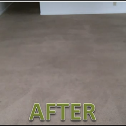 Carpet Cleaners Tacoma  Photo of Oxi Fresh of Tacoma Carpet Cleaning - Tacoma, WA, United States