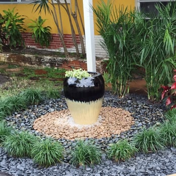Sunkiss Nursery 21 Photos 19 Reviews Nurseries Gardening Photo Of Sunkiss Nursery Pompano Beach Fl United States My Design With