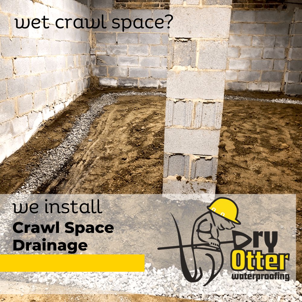 Dry Otter Waterproofing - Charlotte