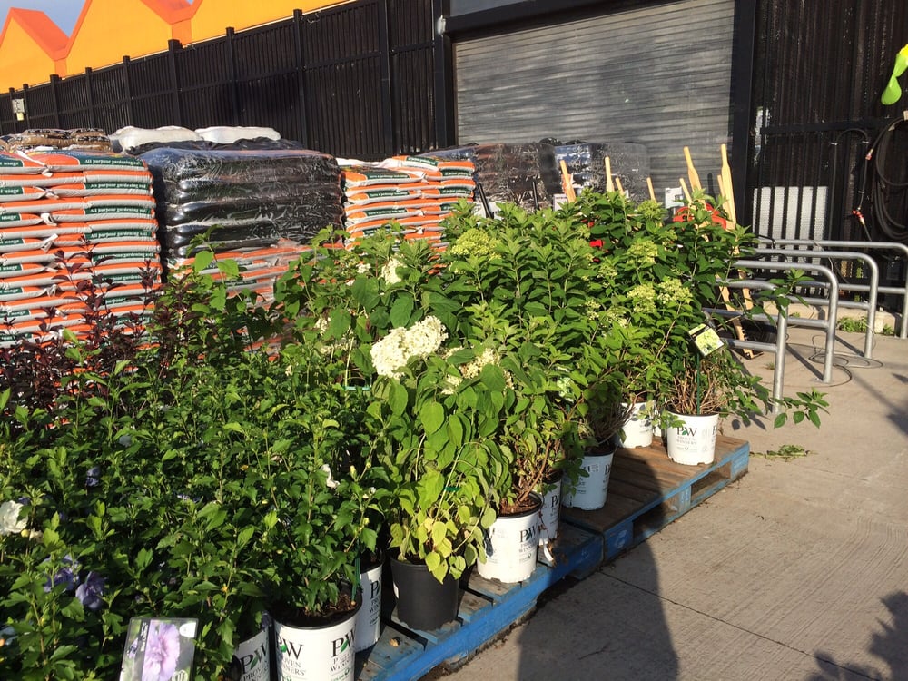 Home Depot