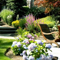 Jc Lawn Service Austin Tx Last Updated December 2018 Yelp Jc S Lawn Care Service