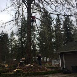 Graham Wa Weather >> Top Notch Tree Service Tree Services 14111 234th St E Graham Graham Wa Weather >> Top Notch Tree Service Tree Services 14111 234th St E Graham