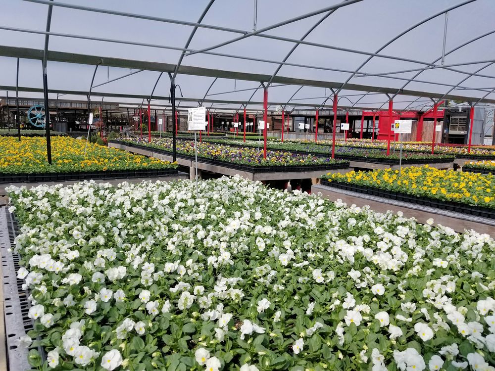 The Flower Ranch Nurseries & Gardening 901 S Pearson Ln, Keller, TX