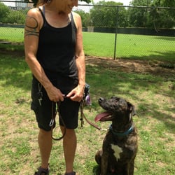 austin dog training austin dog training