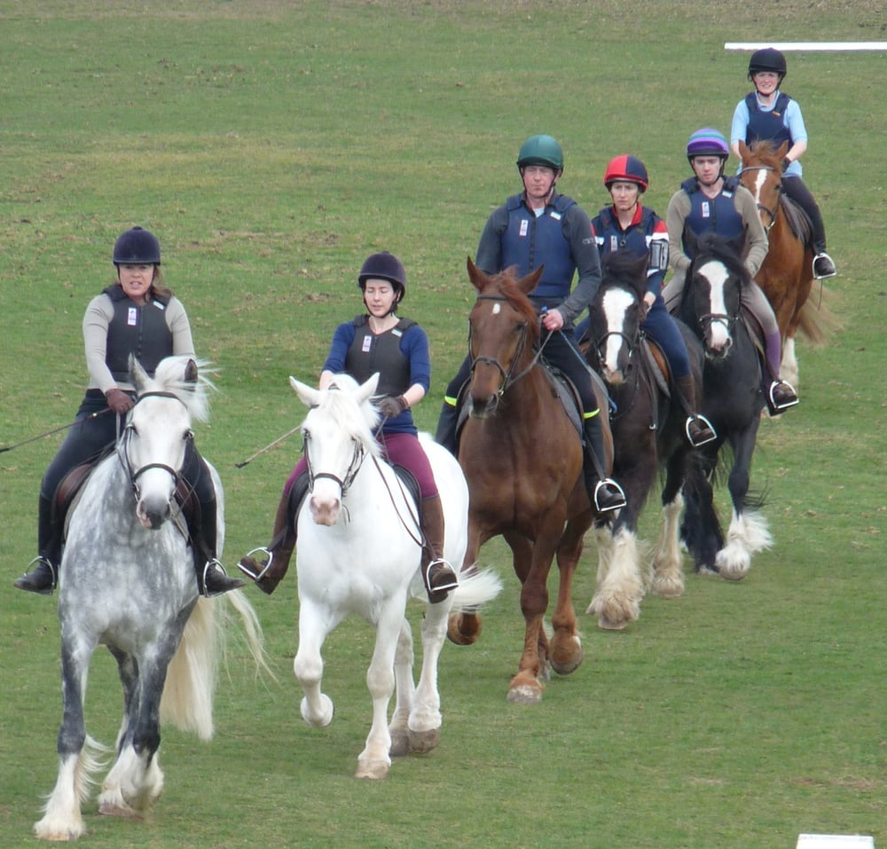 Bradbourne Riding & Training Centre Horseback Riding Bradbourne