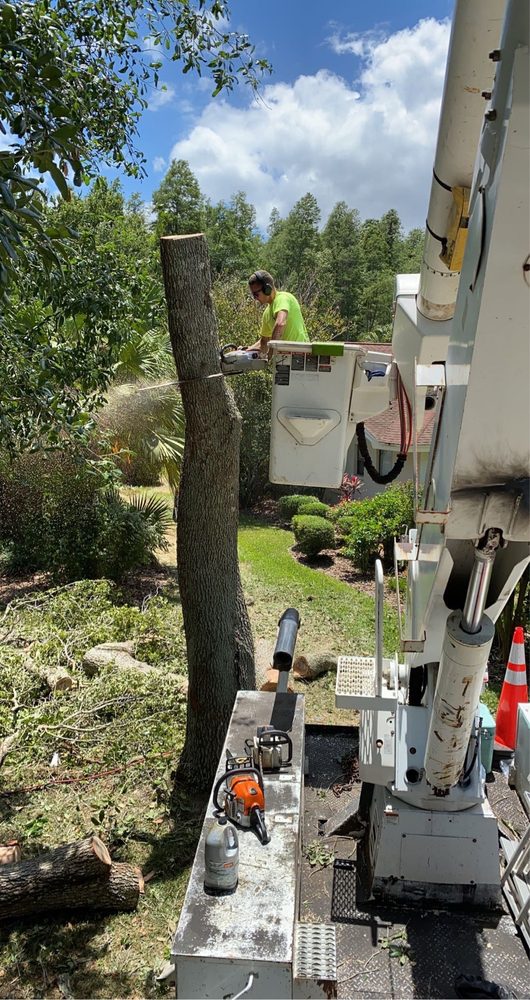 No Limits Tree Service