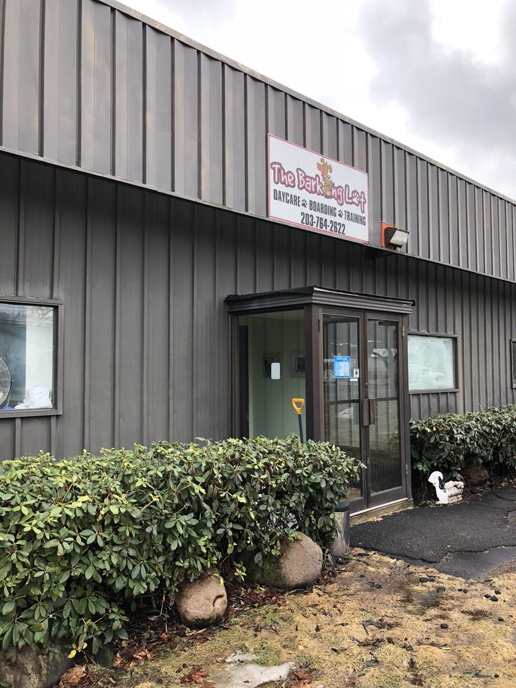 The Barking Lot 12 Photos & 16 Reviews Pet Sitting 940 Sherman