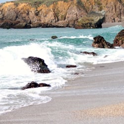 Schoolhouse Beach 42 Photos 18 Reviews Beaches 3095 N Hwy 1 Photo Of Schoolhouse Beach Bodega Bay Ca United States