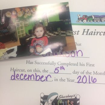 Sharkey’s Cuts for Kids - 109 Photos & 129 Reviews - Hair Salons - 4635 ...