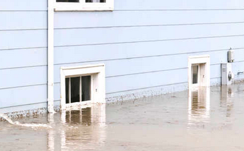 South Sound Restoration