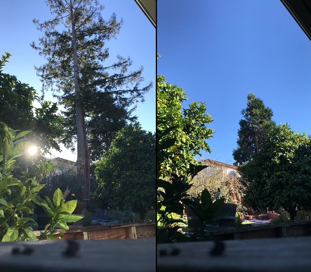M & M Tree Service