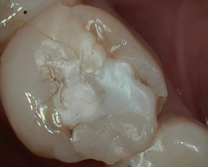 image of business Elder Dental Group