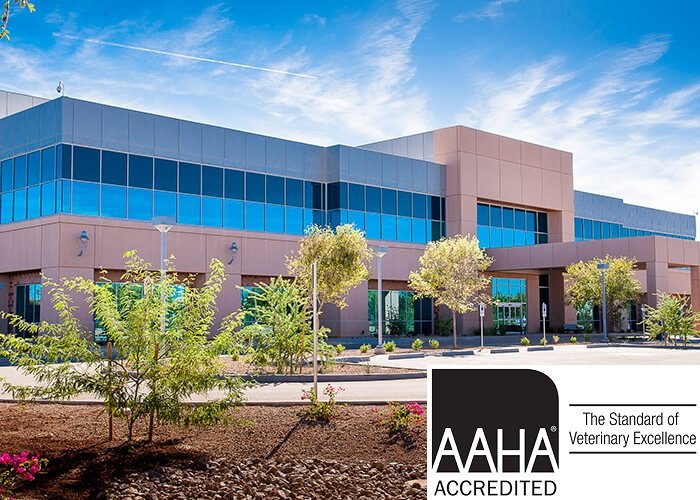 Midwestern University Companion Animal Clinic 25 Reviews