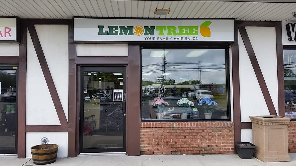 Lemon Tree Unisex Haircutters Hair Salons 1200 E Jericho Tpke