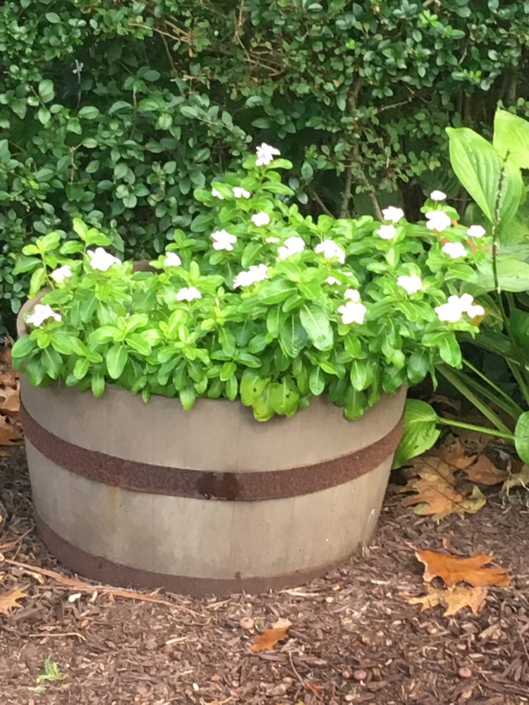 Green Sheep Landscaping