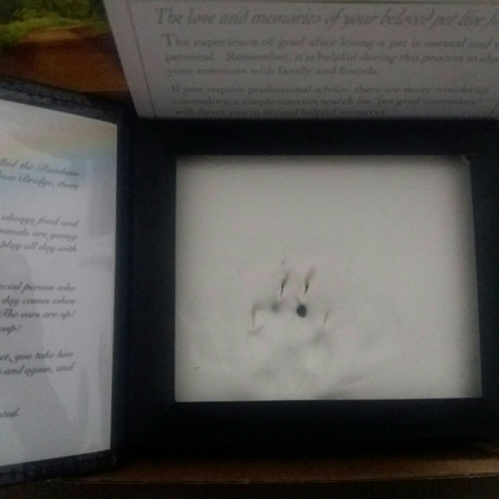 Valley Pet Cemetery and Crematory - 13 Photos - Pet Cremation Services