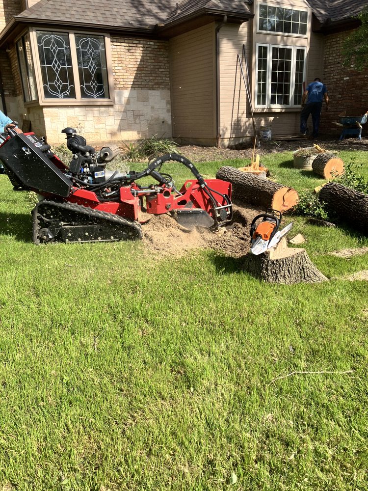 Leon's Tree Service