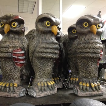 photo of spirit halloween store thousand oaks ca united states undead owl - Halloween Costumes Thousand Oaks photo of spirit halloween store thousand oaks ca united states undead owl - Halloween Costumes Thousand Oaks