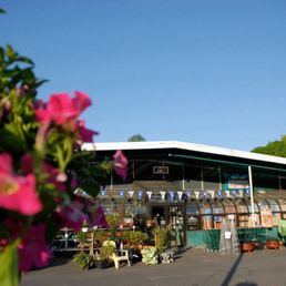 Kelly’s Home & Garden - Nurseries & Gardening - 81 Springfield Rd