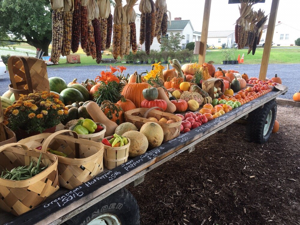 Overlook Farms and Produce 27 Photos Pick Your Own Farms 907 Dinkel Ave, Mount Crawford