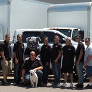 Always Professional In Moving 17 Photos 62 Reviews Movers Photo Of Always Professional In Moving Gilbert Az United States