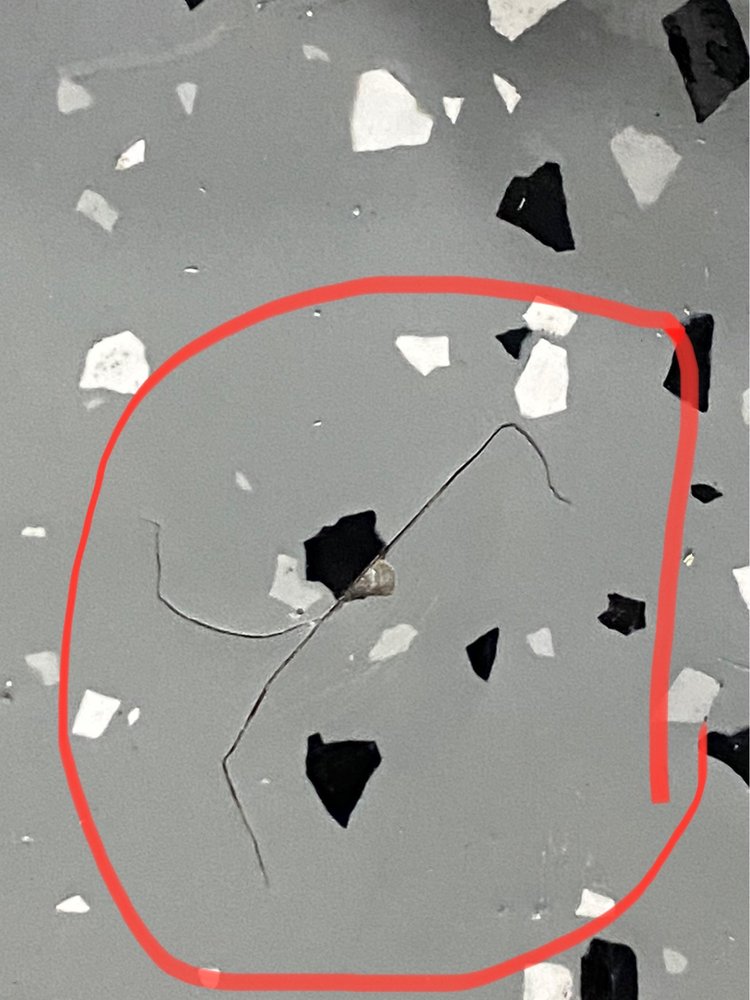 image of business Royal Epoxy