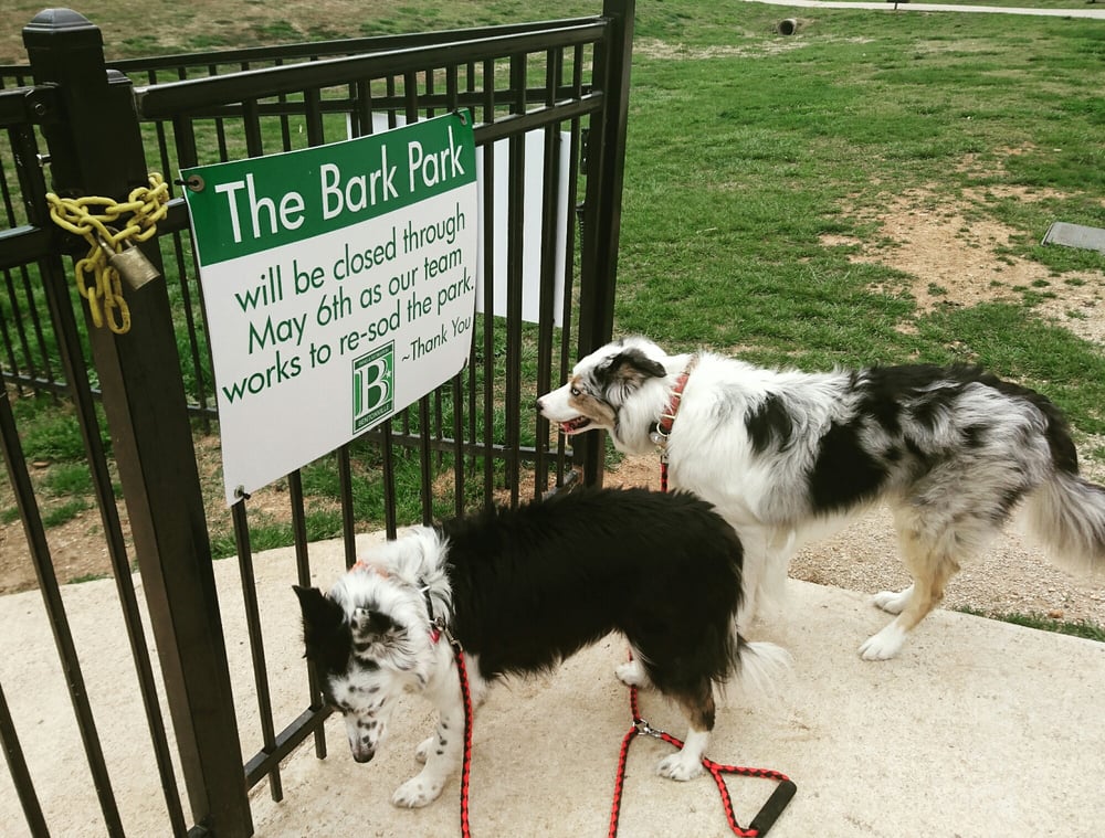 Dog Parks Near Me That Separate Dog Parks Near Me That Separate