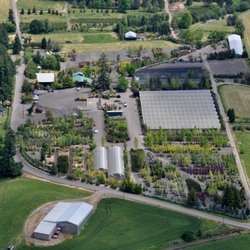 Cascadian Nurseries Gardening 8900 Nw Rd Photo Of Cascadian Nurseries Hillsboro Or United States Aerial