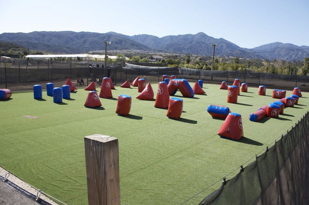 Photos for Jungle Island Yelp