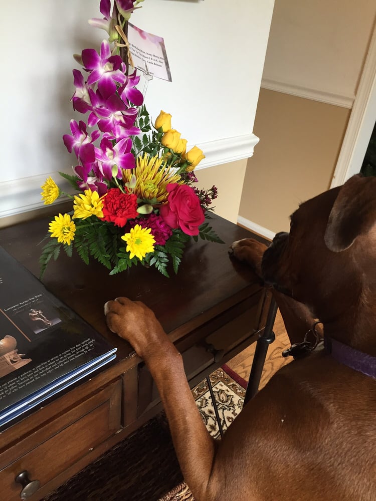 Country Side Florist