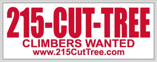 Bob Koch 215-Cut-Tree