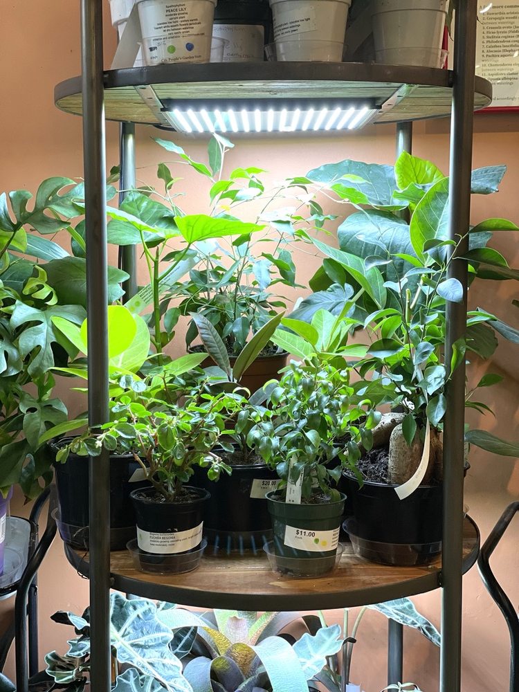 City People's Garden Store