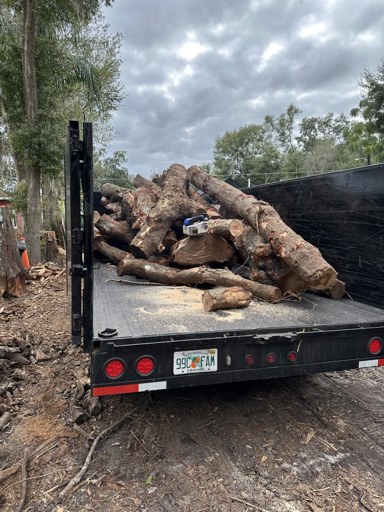Jungle Tree and Debris