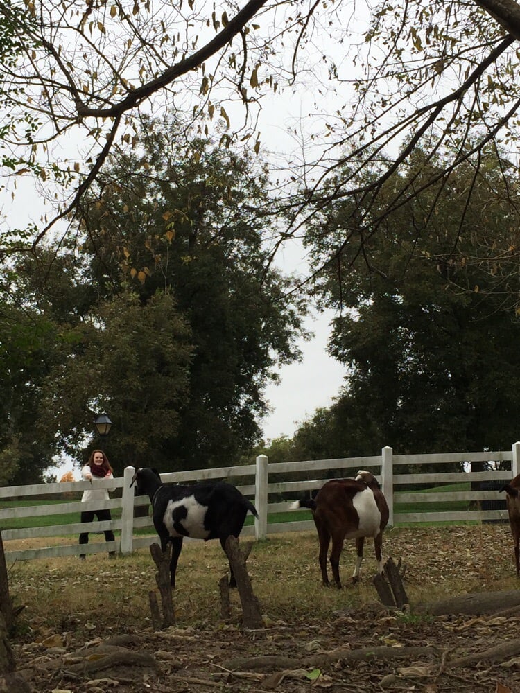 Historic Oak View County Park 81 Photos & 10 Reviews Parks 4028