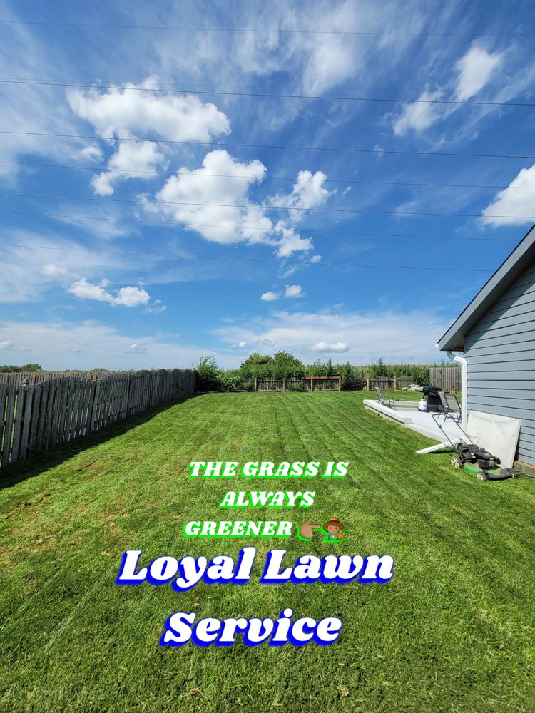 Loyal Lawn Services