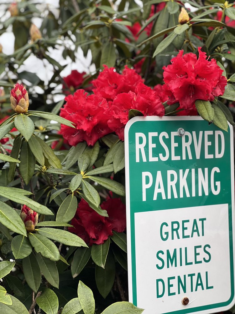 image of business Great Smile Dental