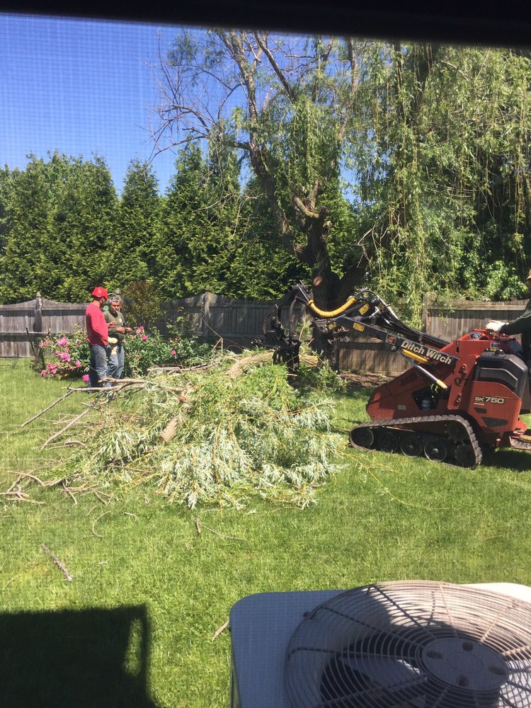 Appalachian Tree Service