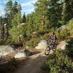 sierra ski and cycle works 56 reviews bikes 3430 lake tahoe sierra ski and cycle works