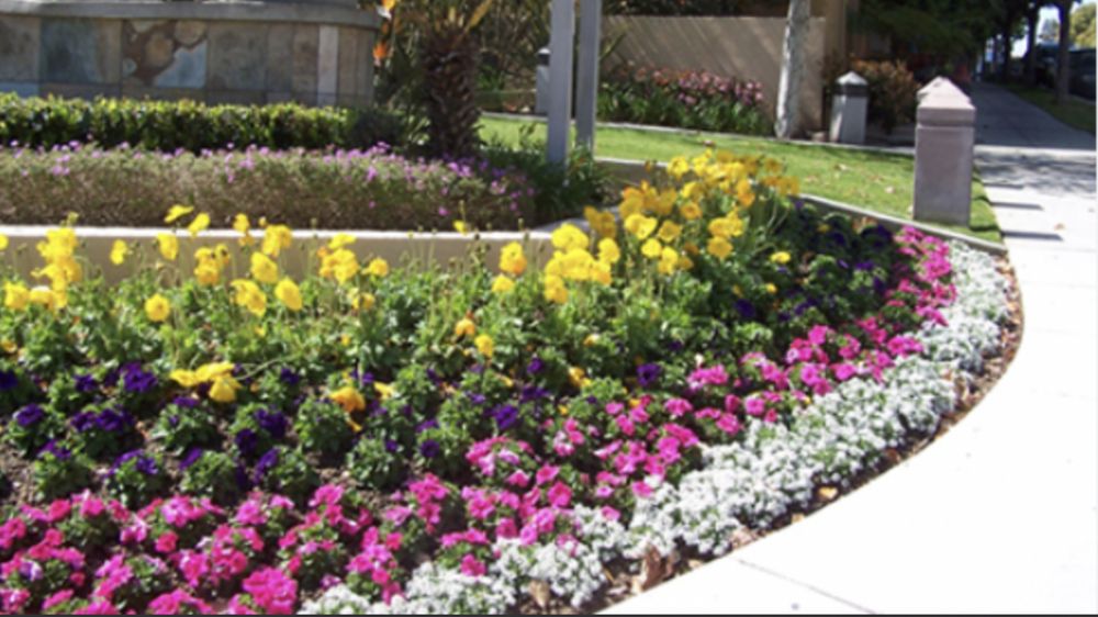 Emerald Touch Lawn & Landscape