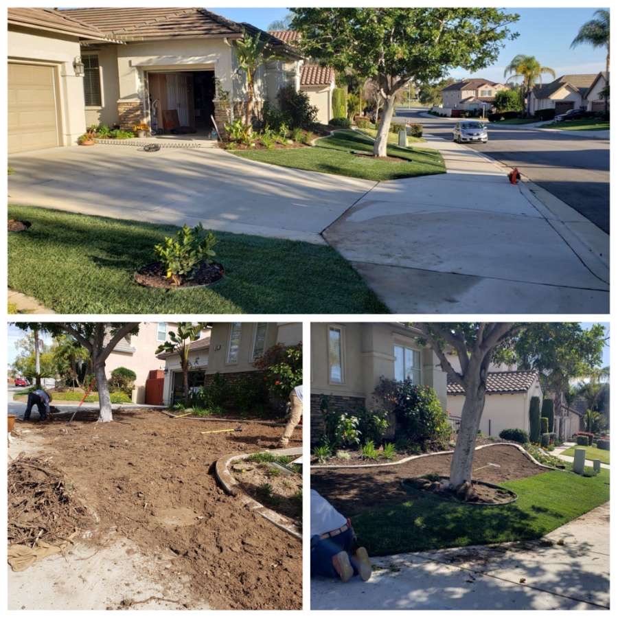 Rojas Landscape & Maintenance