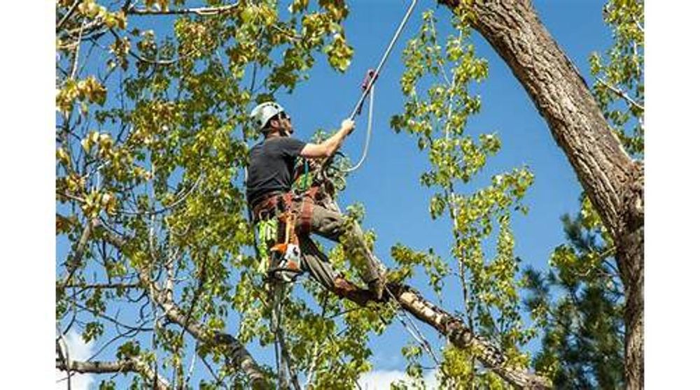 Tanksley Tree Service