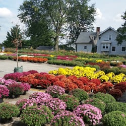 Dammann S Lawn Garden Center 28 Photos Nurseries Dammann S Lawn Garden Center 28 Photos Nurseries