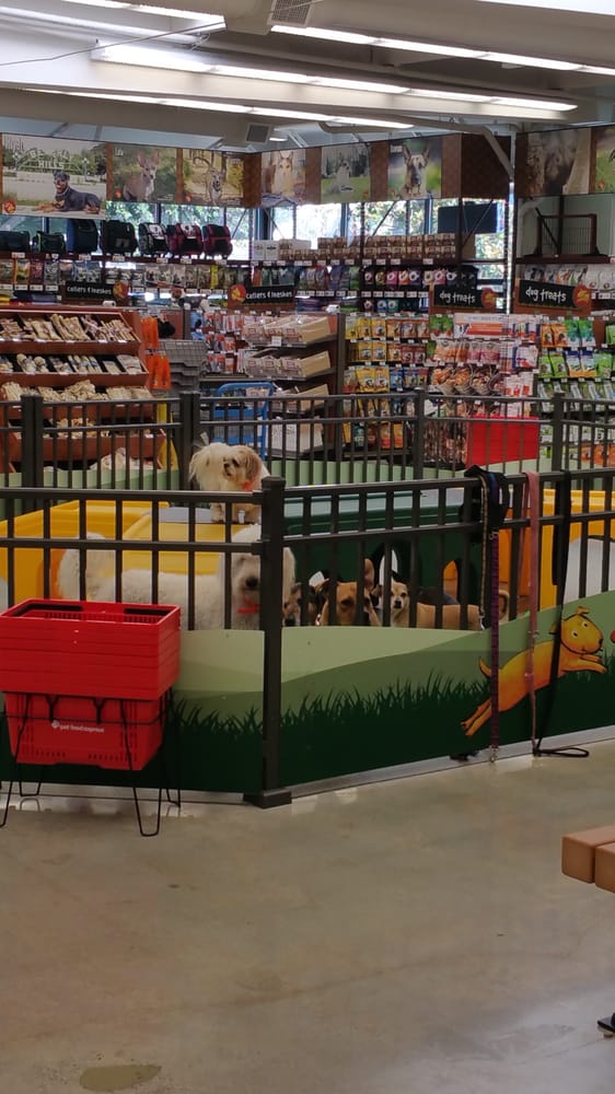 Pet Food Express Beverly Hills Ca Pet Food Express Beverly Hills Ca