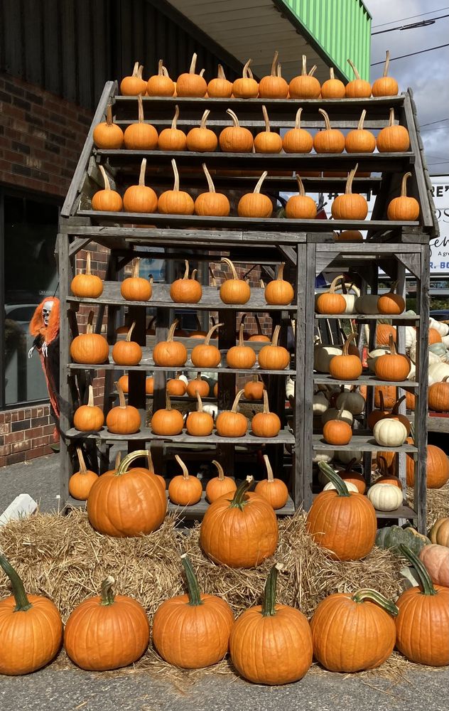 Curiosity Consignment Mega Warehouse