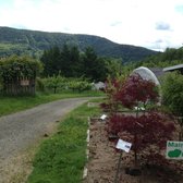 Raintree Nursery 12 Photos 22 Reviews Nurseries Gardening Photo Of Raintree Nursery Morton Wa United States