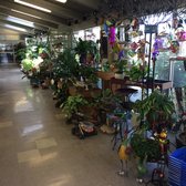 Blue Hills Nursery Gift 191 Photos 48 Reviews Nurseries Photo Of Blue Hills Nursery Gift Whittier Ca United States