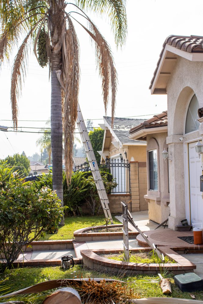 Jose's Landscape Services