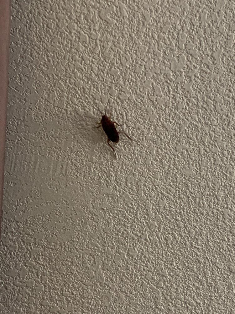 Best Western Plus Hanes Mall Hotel