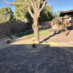 desert designer landscape and