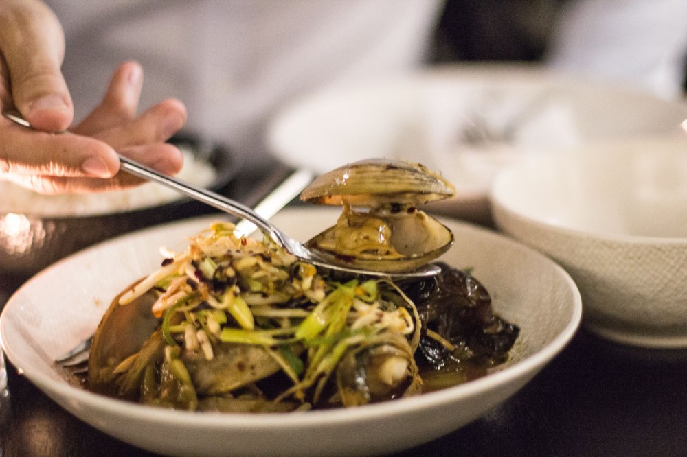 Coda Bar & Restaurant 118 Photos & 56 Reviews Restaurants 141